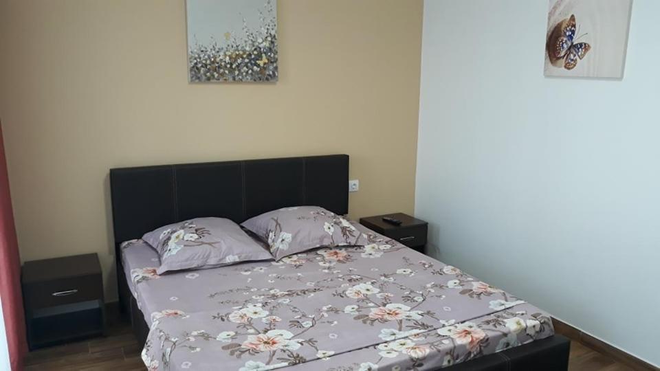 Casa Roxana Apartman Slatina  Kültér fotó