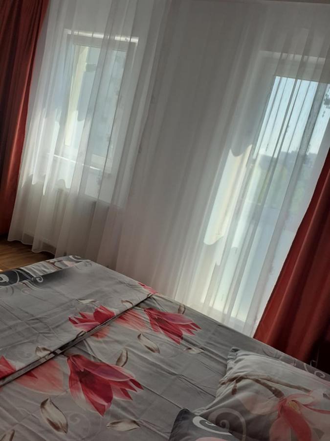 Casa Roxana Apartman Slatina  Kültér fotó