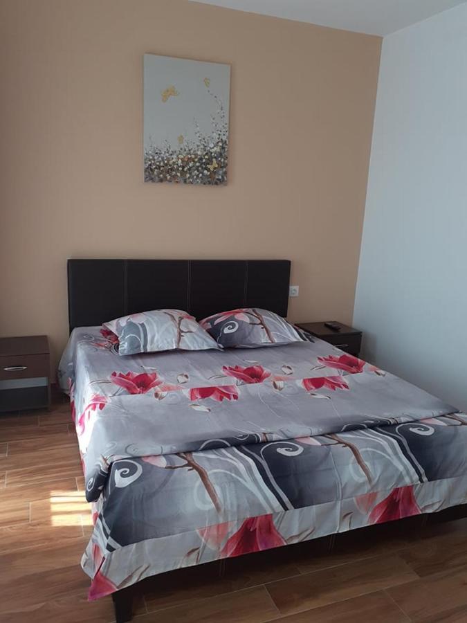 Casa Roxana Apartman Slatina  Kültér fotó